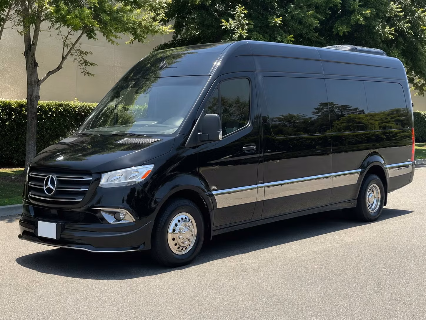 sprinter van with driver